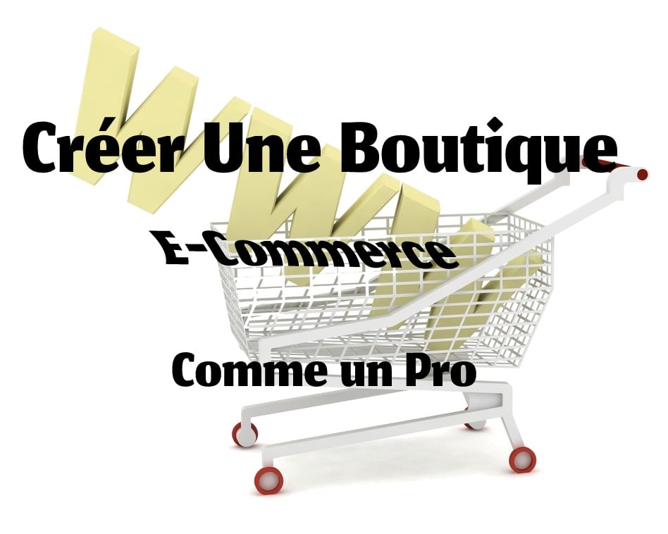 Créer Une Boutique En Ligne Et Commencer à Obtenir Des Ventes