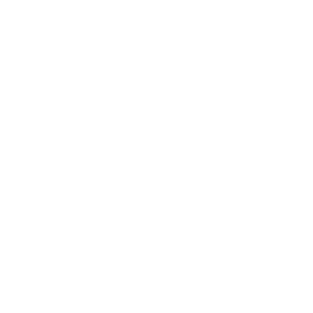 Audit SEO local icone