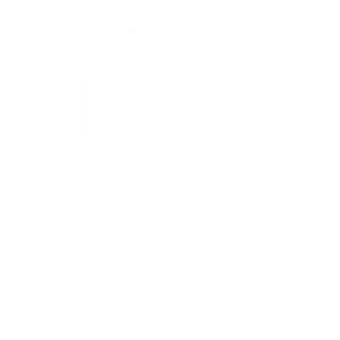 Audit SEO local icone