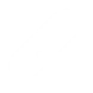 Backlinks locaux icone