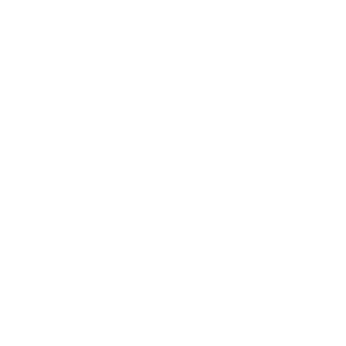 Données structurées icone