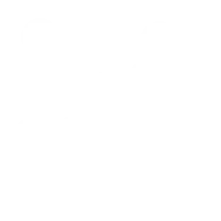 Données structurées icone