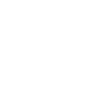 Google Business Profile icone