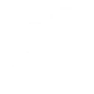 Google Business Profile icone