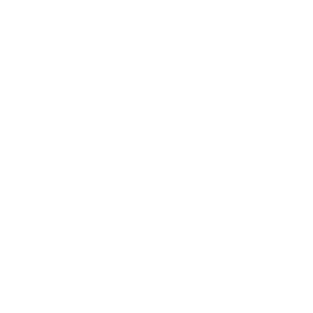 Optimisation du site icone