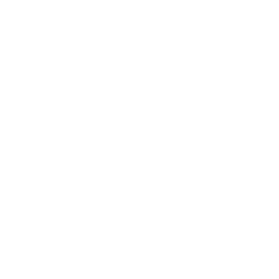 Optimisation du site icone